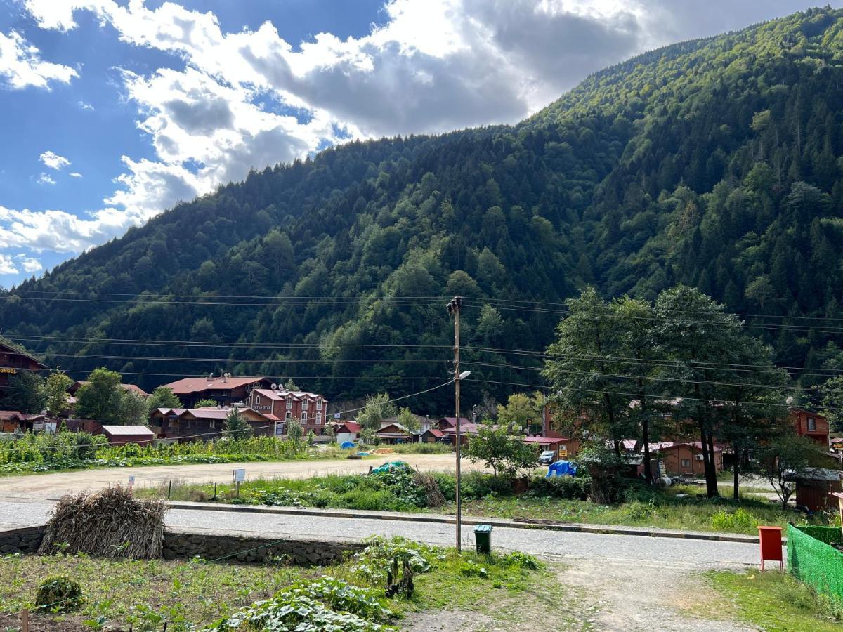 Karadeniz * Uzungol