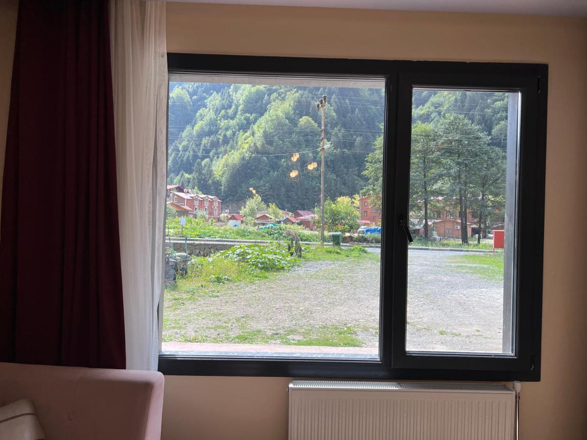 Apartment Karadeniz