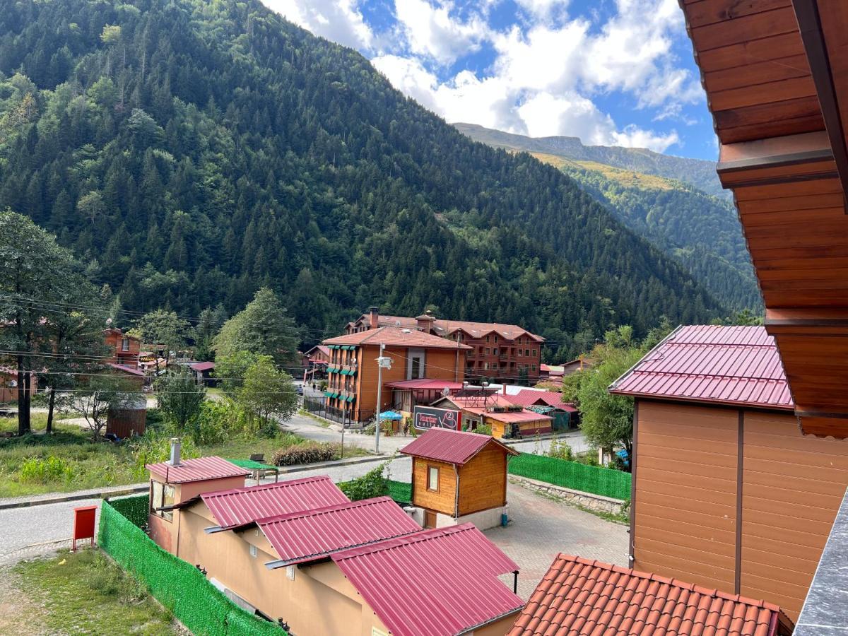 Karadeniz Apartment