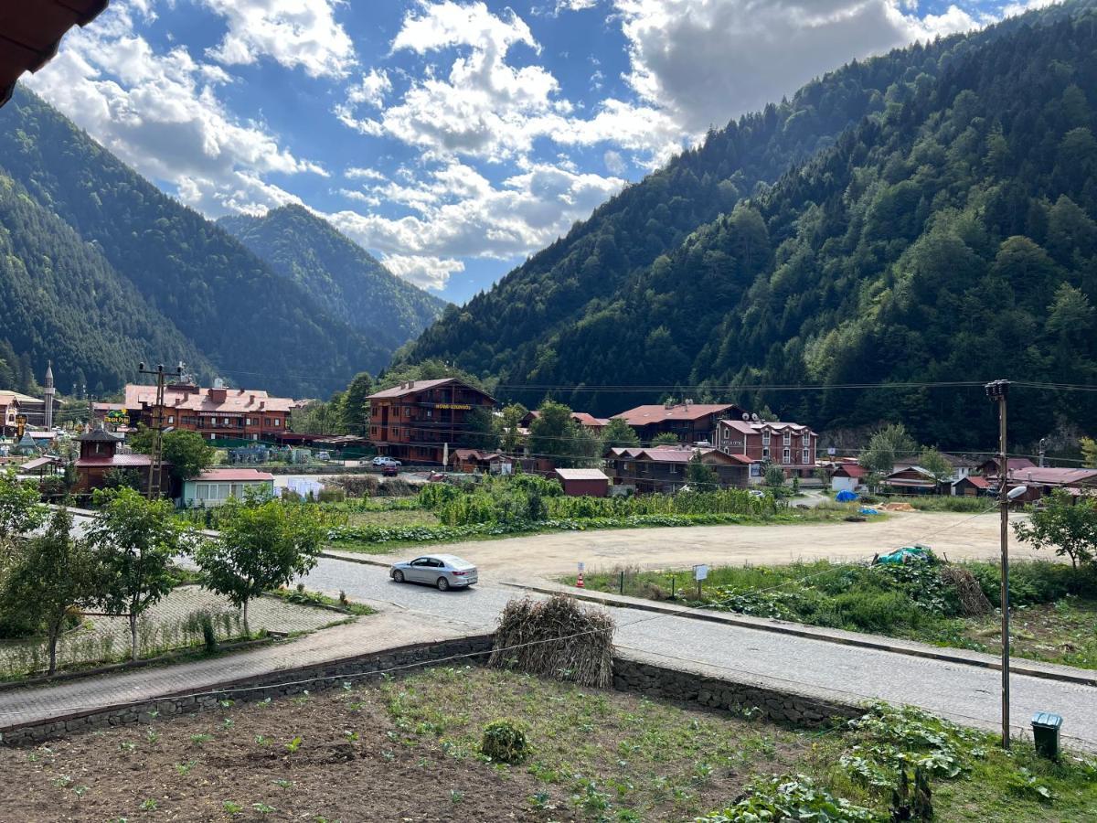 Karadeniz Apartment *