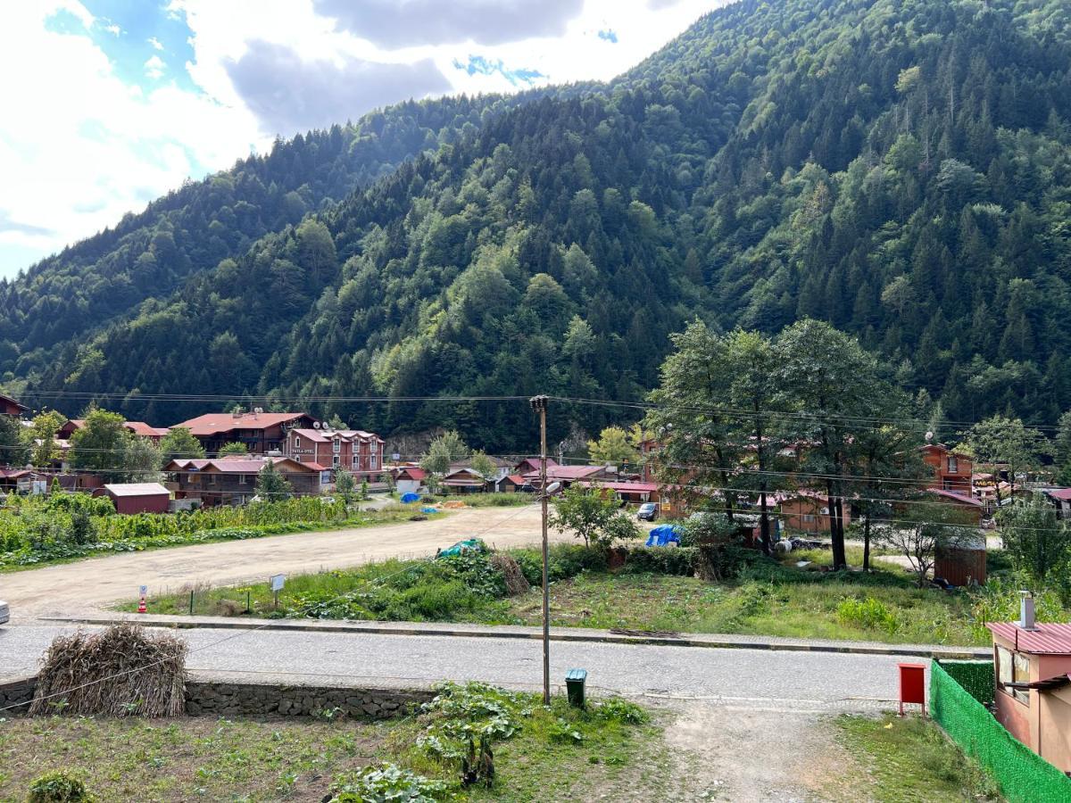 Apartment Karadeniz Uzungol